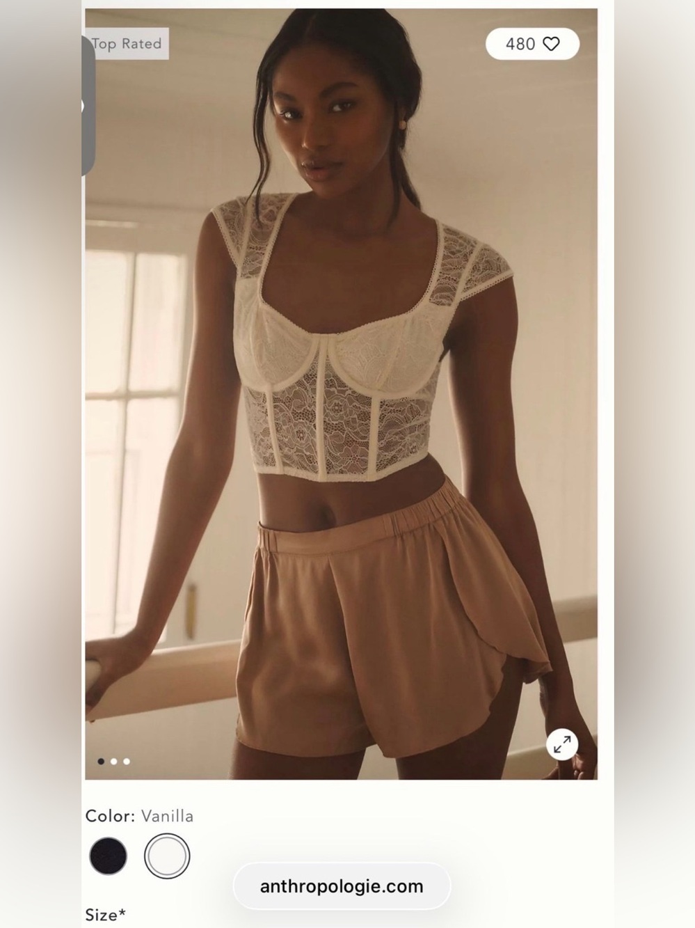 Anthropologie: LyreBird Lace Cap Sleeve Corset Top Medium (NWT)